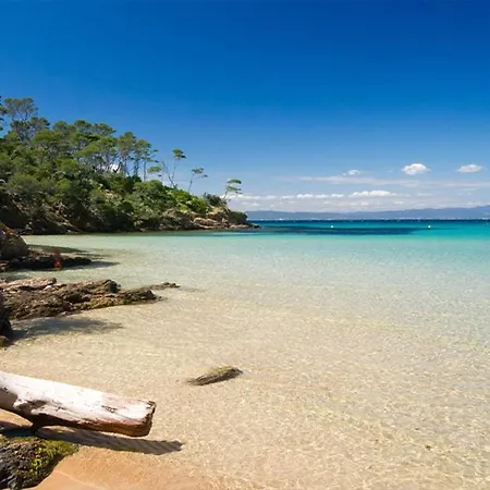 Maisonnette Climatisee A 35m De La Plage De La Capte Semesterbostad Hyères
