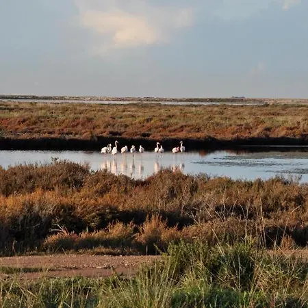 Semesterbostad Maisonnette Climatisee A 35m De La Plage De La Capte Hyères