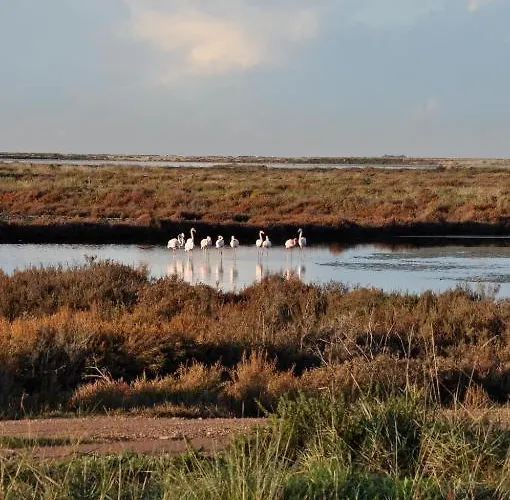 Сasa de vacaciones Maisonnette Climatisee A 35m De La Plage De La Capte Hyères